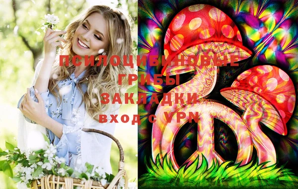 МДПВ Зерноград