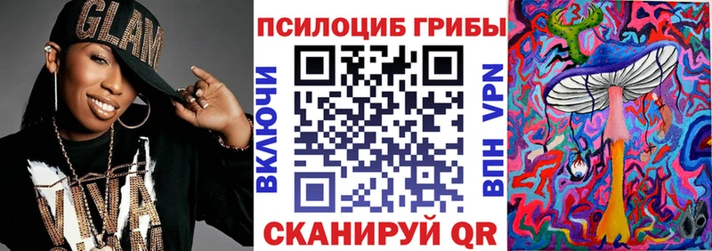 Купить закладки  Николаевск  Псилоцибиновые грибы Cubensis 